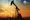 Oil Prices Jump as US–Iran Tensions Hit a Crescendo