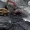 Coal India’s CMPDI Plans Public Listing with $1.33B Valuation