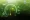 Green Economy Definition and Principles Explained