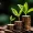 Top Performing Mutual Funds in India 2026