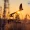 Global Crude Oil Slumps 4.6%, Boosting the Indian Economy