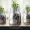 Best Mid Cap Mutual Funds for Long Term Growth