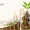 Smart Spending, Brighter Future: The Best Ways to Save Money for Your First Investment