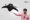Airbound_