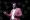 M Ananda Vardhan The Portfolio The Portfolio Male presenter in a pink blazer speaks on stage with a headset microphone holding a smartphone