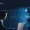 Why AI Fluency is Becoming an Essential Leadership Skill 1 The Portfolio Why AI Fluency is Becoming an Essential Leadership Skill 1