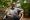 Inside the Mind of Kunal Shah How He Owns Million Dollar Companies  Positions