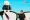 Meta and Firms Team Up to Tame AI Bot Business Chaos The Portfolio Man in a black shirt stands beside oversized sunglasses with a plush figure perched on top on a stage at a talk